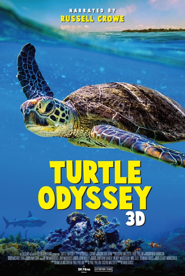 turtle odyssey 1