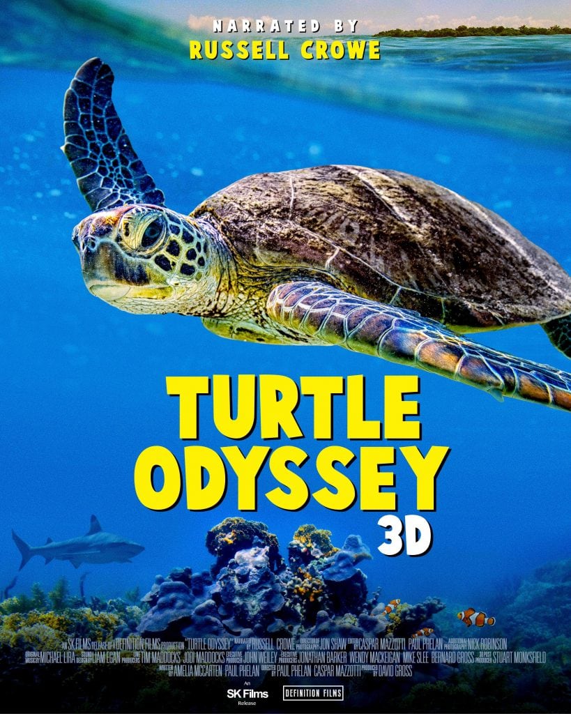 Turtle Odyssey 3d
