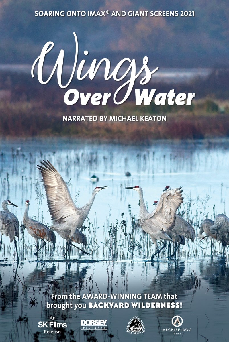 Wings Over Water by Wings for Wetlands