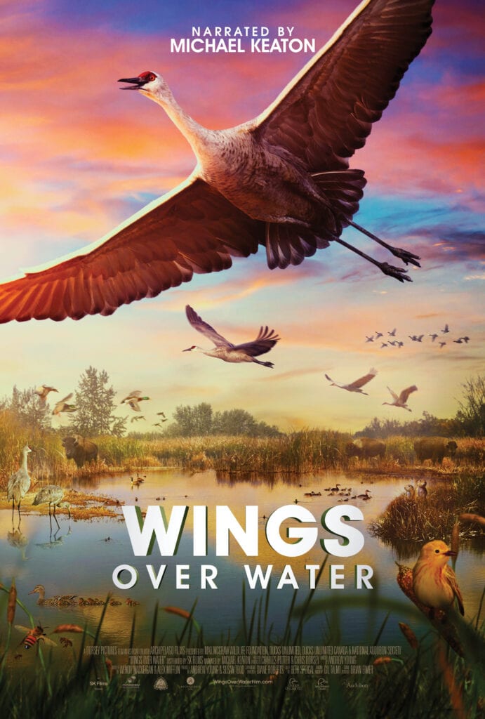 Wings Over Water by Wings for Wetlands